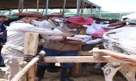 Ketua Komisi IV DPR RI, Sudin, mengapresiasi kegiatan panen pedet dan peluncuran 100.000 ekor Belgian Blue yang dilakukan jajaran Kementerian Pertanian (Kementan) di Lapangan Merdeka, Kabupaten Lampung Tengah, Provinsi Lampung.