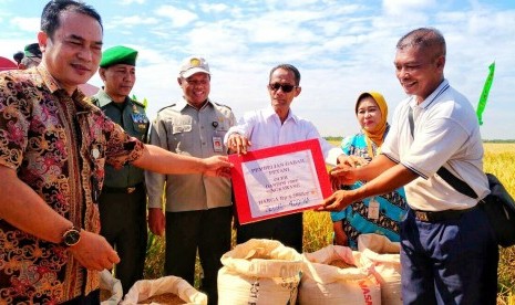 Ketua Pelaksana Serapan Gabah Nasional yang juga Kepala Badan Ketahanan Pangan Kementerian Pertanian, Agung Hendriadi (ketiga dari kanan), menyaksikan transaksi pembelian gabah langsung dari petani oleh Bulog Divre Sambas, Singkawang, dan Bengkayang, Kalimantan Barat, Jumat (16/3).