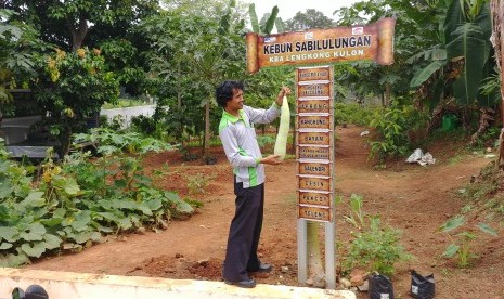 Ketua pilar kewirausahaan KBA Lengkong Kulon, Adi Hermawan menunjukkan hasil kebun yang dikelola warga secara bersama-sama, Ahad (9/12).    