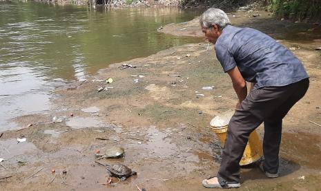 Ketua RT 3, RW 2, Kelurahan Lenteng Agung, Kecamatan Jagakarsa, Jakarta Selatan, Zainal Abidin melepas bulus ke Sungai Ciliwung.