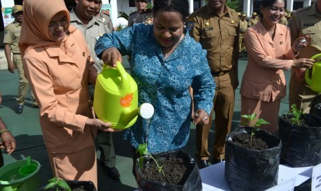 Ketua TP PKK Provinsi Papua, Yulce W. Enembe, meresmikan pencanangan Gertam (Gerakan Tanam) Cabai Se-Provinsi Papu di Kantor Gubernur Papua pada Senin (20/2)