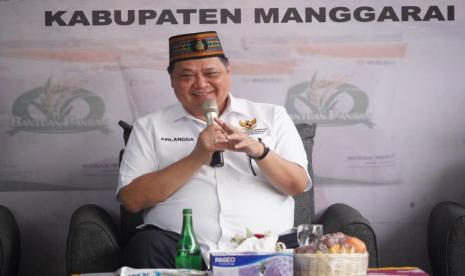 Ketua Umum DPP Partai Golkar Airlangga Hartarto.