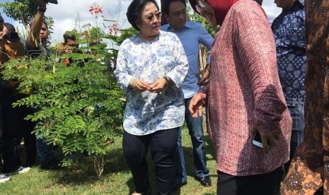 Ketum PDIP Megawati Soekarnoputri dan Wali Kota Surabaya Tri Rismaharini di Taman Harmoni.