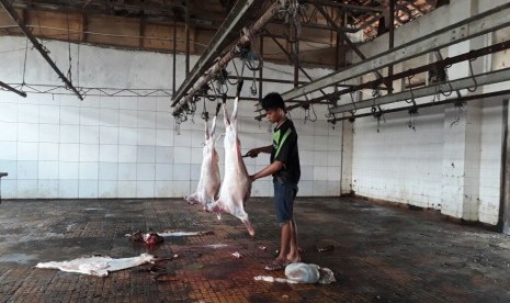 Kholis, penjagal kambing di Rumah Pemotongan Hewan Pulogadung, saat bekerja, Kamis (10/8). 