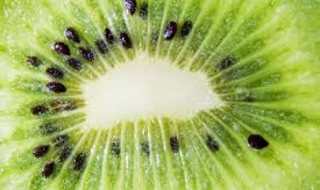 Kiwi