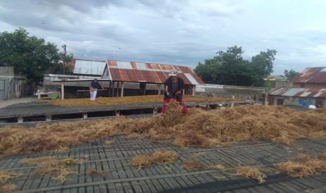 Klaster Usaha Rumput Laut di wilayah Kampung Pogo meraih bantuan dari program KlasterkuHidupku dari BRI.