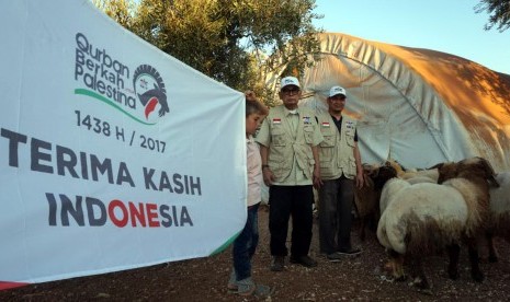  KNRP Sembelih Hewan Qurban di Aleppo, Suriah