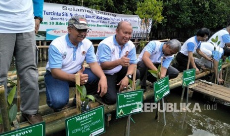 Koalisis Lestari Hutanku bersama Kementerian Lingkungan Hidup dan Kehutanan mengadakan kegiatan menanam pohon mangrove di Pantai Indah Kapuk, Jakarta Utara, Ahad (14/1). 