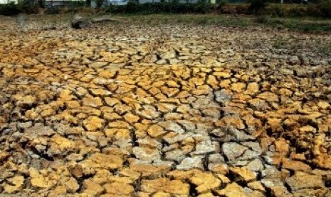 Musim kemarau (ilustrasi). BPBD Garut meningkatkan kewaspadaan terhadap ancaman kebakaran hutan dan lahan saat musim kemarau.