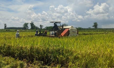 Komando Strategis Pembangunan Pertanian (Kostratani) yang pusat gerakannya ada di kecamatan saat ini gencar berperan dalam penyediaan stok pangan di tengah pandemi COVID-19.  Menteri Pertanian, Syahrul Yasin Limpo mengatakan dengan Kostratani, pertanian akan lebih maju mandiri bahkan dengan pengolahan yang lebih modern. 