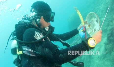 Komunitas Diver peduli laut tengah mengambil berkantong-kantong sampah di dasar laut. foto dok KKP