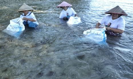 Komunitas Nelayan Pesisir Lampung menggelar edukasi budi daya rumput laut.