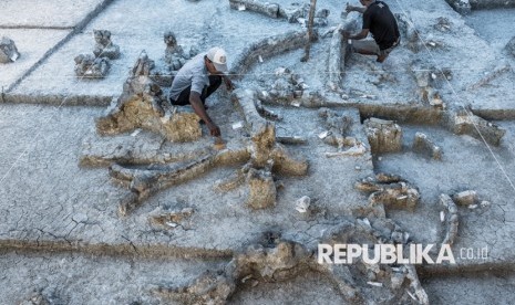 Komunitas Peduli Fosil Banjarejo melakukan konservasi fosil di bawah pengawasan Balai Pelestarian Situs Manusia Purba (BPSMP) Sangiran, di lokasi situs penemuan fosil gajah purba di Desa Banjarejo, Gabus, Grobogan, Jawa Tengah, Senin (31/7). 