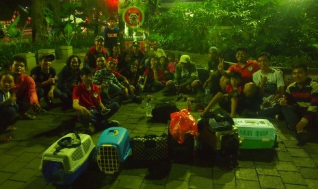 Komunitas penyuka musang berkumpul di Taman Suropati, Menteng, Jakpus.