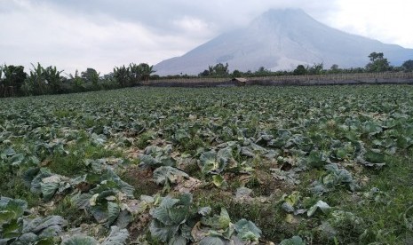 Kondisi Gunung Api Sinabung yang berada di Kabupaten Karo, Sumatera Utara, pasca erupsi pada Ahad (9/6).