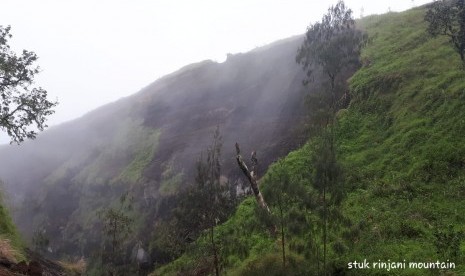 Kondisi Gunung Rinjani saat tim gabungan melakukan survei lapangan pada Sabtu (16/3).