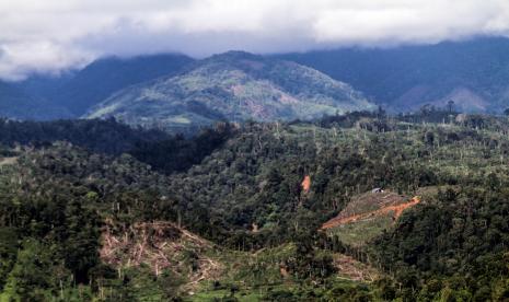 Kondisi hutan yang ditebang untuk lahan perkebunan di kawasan gunung Salak, Kecamatan Nisam Antara, Aceh Utara, Selasa (1/6/2021). Kondisi kerusakan hutan di kawasan itu semakin meluas akibat pembukaan lahan secara tidak terkendali, illegal logging yang mengancam ekosistem, bencana longsor dan banjir bandang.