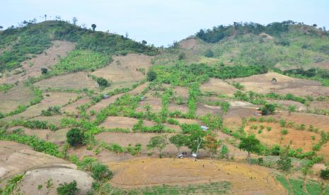 Kondisi kawasan hutan yang gersang di pegunungan Patiayam, Jekulo, Kudus, Jawa Tengah, Kamis (28/10/2021). Menurut warga, kawasan yang dahulu hutan subur dan banyak pohon tersebut saat ini kondisinya gersang dan gundul hingga 80 persen akibat maraknya pembalakan liar, sehingga berpotensi mengakibatkan bencana alam erosi, banjir hingga longsor serta mengancam keberadaan satwa liar di tempat itu. 