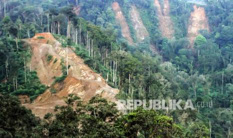 Kondisi salah satu sisi hutan yang mengalami penebangan di kawasan Gunung Sala, Aceh Utara, Aceh, Sabtu (6/2/2021). Kerusakan hutan di pegunungan itu semakin meluas, akibat pembukaan lahan secara tidak terkendali sehingga berpotensi menimbulkan bencana banjir bandang dan longsor. Indonesia, Brasil, dan Kongo bertanggung jawab atas 85 persen hutan di bumi.