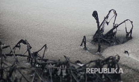 Kondisi sampah yang menumpuk di Sungai Citarum Lama..