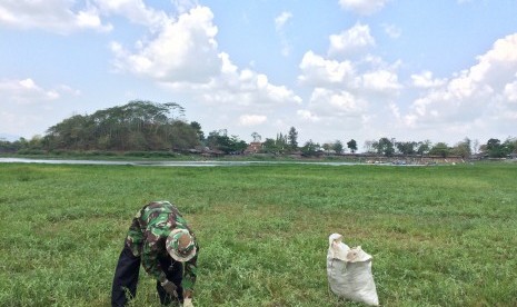 Kondisi Situ Gede, Kota Tasikmalaya, Jumat (4/10). Warga memanfaatkan  keringnya air di waduk itu untuk mencari rumput ilalang. 