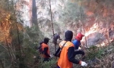 Kondisi terakhir hutan Gunung Arjuno yang tengah dipadamkan sejumlah tim.