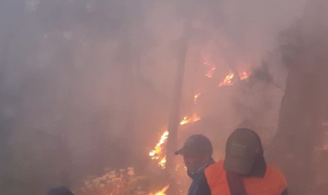 Kondisi terakhir hutan Gunung Arjuno yang tengah dipadamkan sejumlah tim.