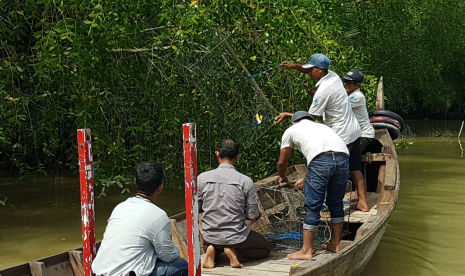 Konservasi tuntong.