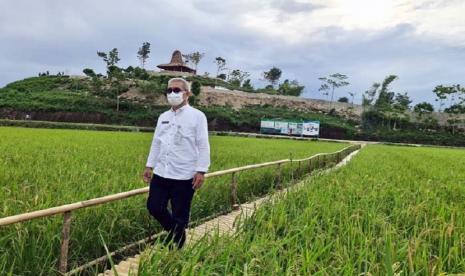 Koordinator Substansi Kelembagaan dan Ketenagaan Penyuluhan-Pusluhtan BPPSDMP Kementan, I Wayan Ediana memantau hamparan padi, sebagai output kinerja penyuluh mendampingi petani 