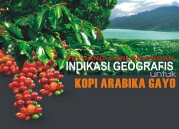 Kopi Gayo