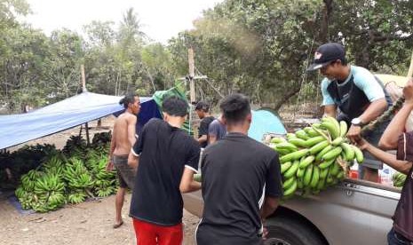 Korban gempa di Desa Gumantar, Kecamatan Kayangan, Kabupaten Lombok Utara, menjual hasil bumi untuk disumbangkan kepada warga terdampak gempa di Palu dan Donggala. 