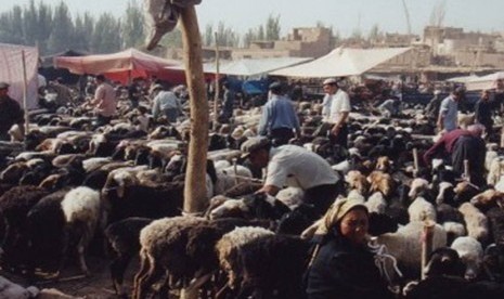 Kota Kashgar di Cina yang terkenal dengan kambingnya dan Muslim Uyghur