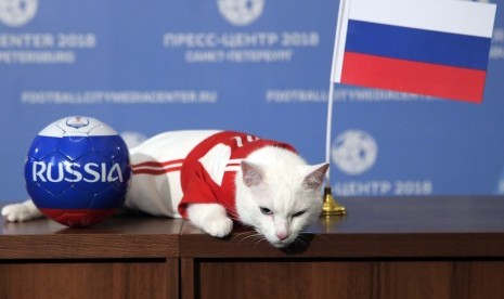  Kucing Achilles menebak hasil pertandingan Rusia lawan Arab Saudi di St.Petersburg, Rusia, Rabu (13/6). 