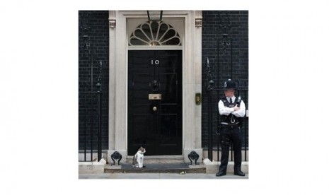 Kucing Larry tetap tinggal di Downing Street.