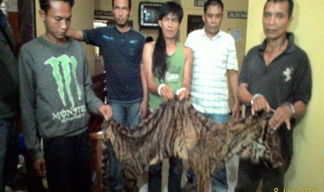 Kulit harimau