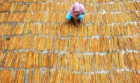 Kulit kayu manis dijemur.