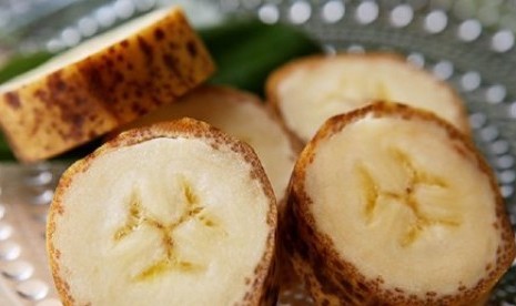 Kulit pisang Mongee dikatakan memiliki tekstur seperti selada, sedangkan buahnya sendiri tinggi gula.