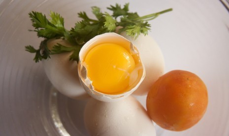 Kuning telur, makanan kaya akan kolesterol.