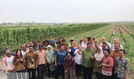 Kunjungan lapang sekaligus melakukan panen di Desa Pegandon, Kecamatan Gubug Sari, Kendal, Jawa Tengah. 