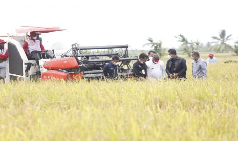 Kunjungan Menteri Pertanian (Mentan) Syahrul Yasin Limpo ke Provinsi Papua beberapa hari lalu mendapat sambutan baik dari Staf Khusus Presiden RI, Billy Mambrasar. Menurutnya, kunjungan tersebut adalah bukti bahwa negara hadir di semua Provinsi dan berkomitmen membangun sektor pertanian secara merata dan berkelanjutan.