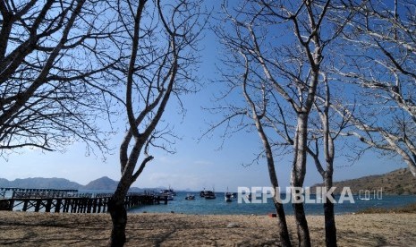 Kunjungan Wisatawan TN Komodo. Beberapa perahu wisata sandar di dermaga Taman Nasional Komodo (TNK), Manggarai Barat, NTT.