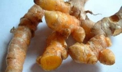 Kunyit (curcuma domestica val).