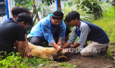  Masuk Dzulhijjah, Perhatikan Larangan bagi yang Berkurban. Foto: Kurban sangat penting untuk menjadi syiar Islam di daerah terdepan, terpencil dan tertinggal (3T). (ilustrasi)