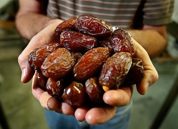 Kurma medjoul asal Israel