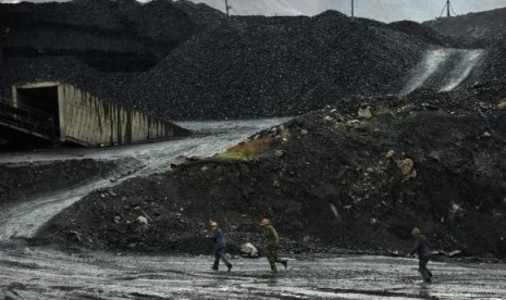 Laborers walk on a path amid piles of coal at an opencast coal mine in Fuxin, Liaoning province May 30, 2012.