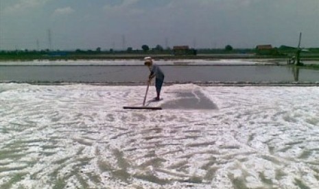 Salt-farming land. (Illustration)