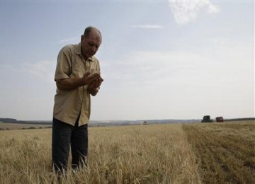 Ladang gandum di desa Uzunovo, di kawasan sekitar Moskow. Kekeringan akibat kemarau membuat produksi gandum Rusia menurun drastis dari tahun lalu. 