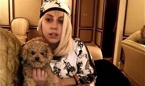 Lady Gaga dan anjingnya, Labradoodle Fozzi