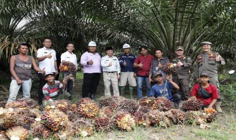 Lahan Madec Center bakal dipersiapkan menjadi lokasi pabrik minyak goreng.