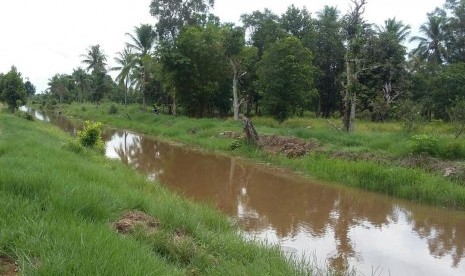 Lahan rawa yang dimanfaatkan untuk pertanian